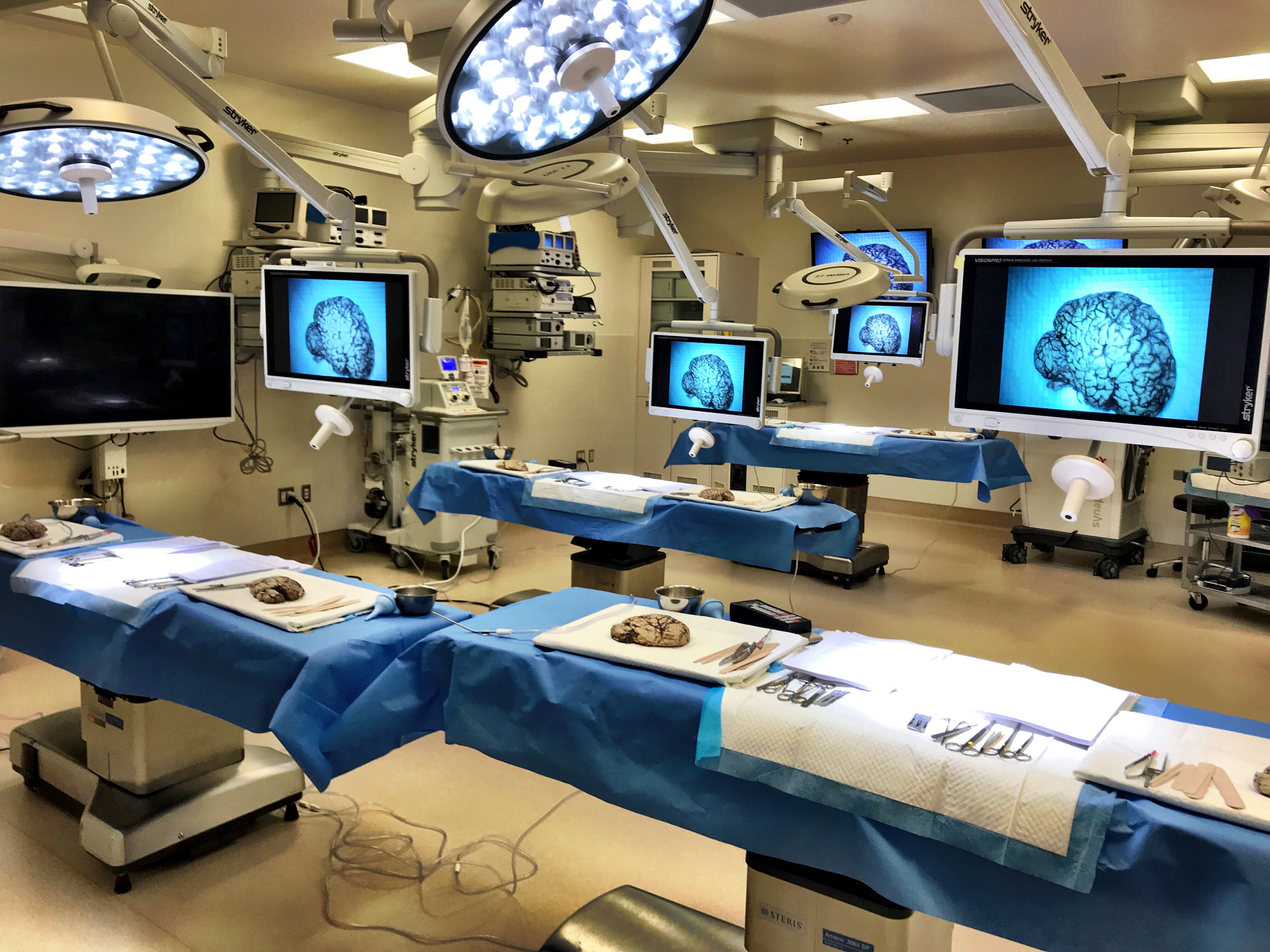 Surgical Innovations Course Explores Connectomic Approach ...