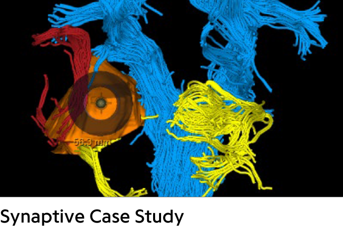 Colorful groupings of neurons